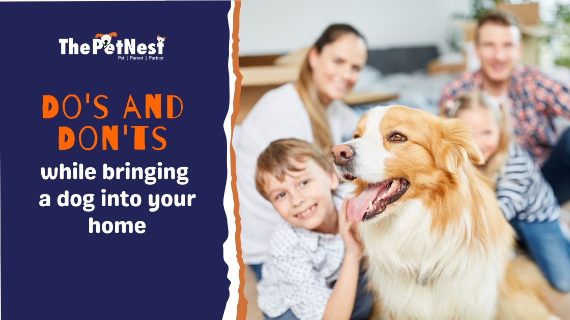 Do’s and don’ts while bringing a dog into your home