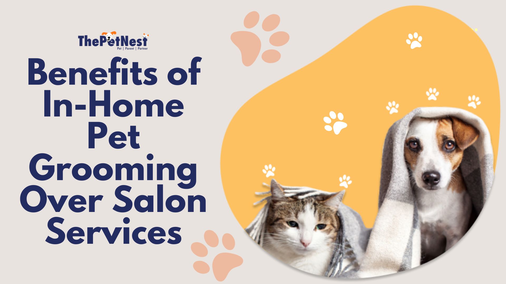 The Benefits of In-Home Pet Grooming Over Salon Services