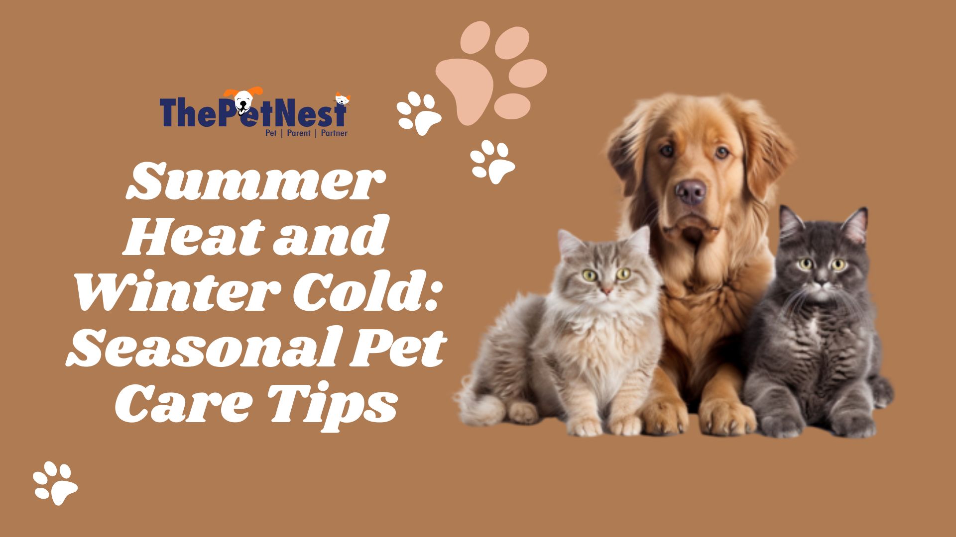 Seasonal Pet Care Tips: Navigating Summer Heat and Winter Cold
