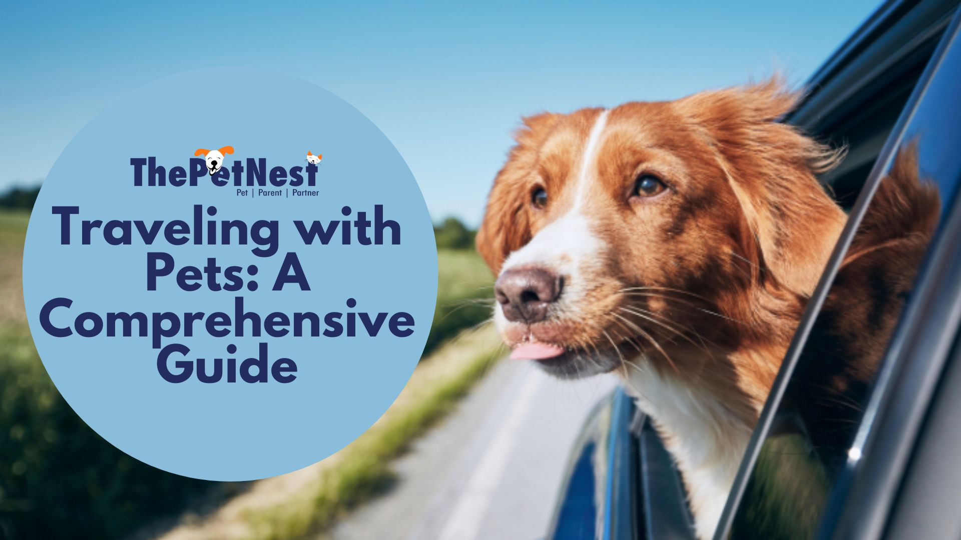 Traveling with Pets: A Comprehensive Guide