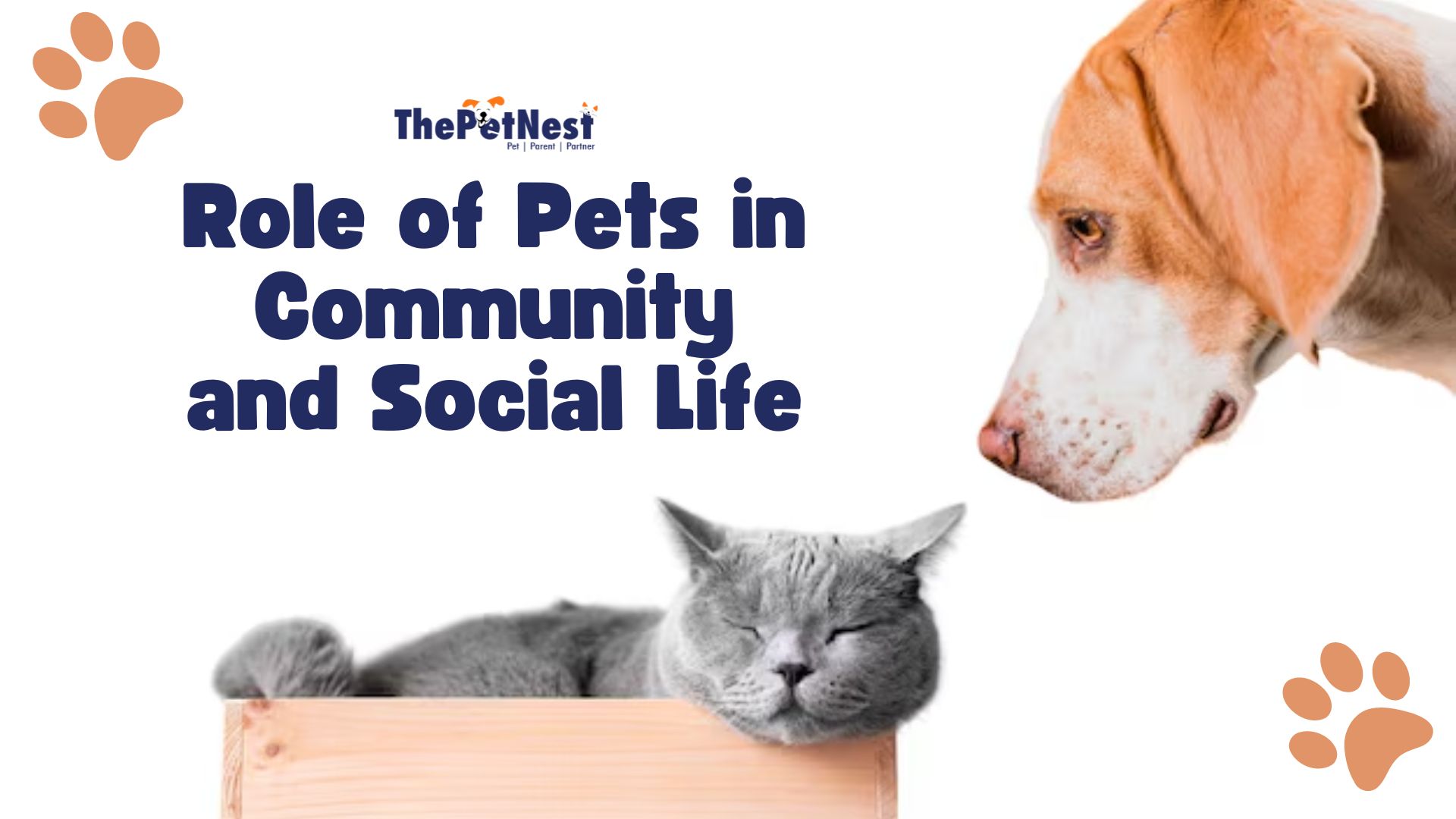 Role of Pets in Community and Social Life