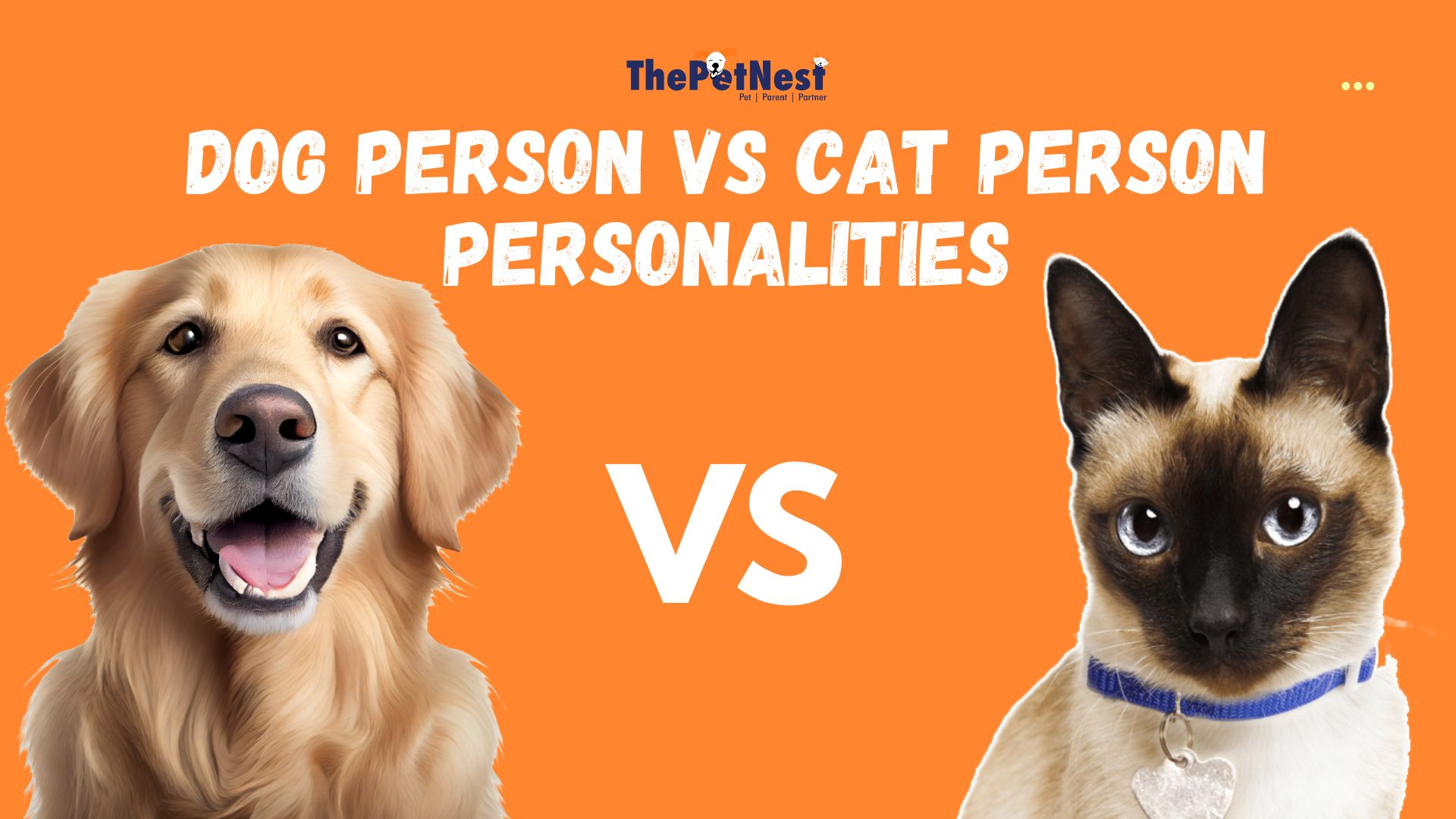 Dog Person vs Cat Person Personalities!!! Paws and Whiskers